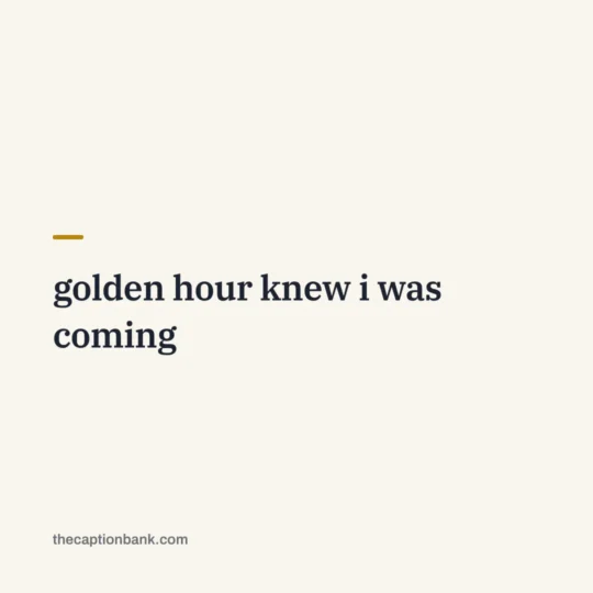 Aesthetic Captions For Instagram card: golden hour knew i was coming