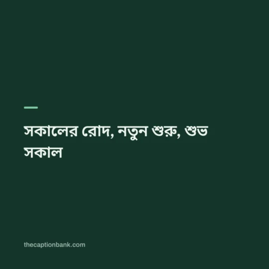 Bengali Caption card: সকালের রোদ, নতুন শুরু, শুভ সকাল