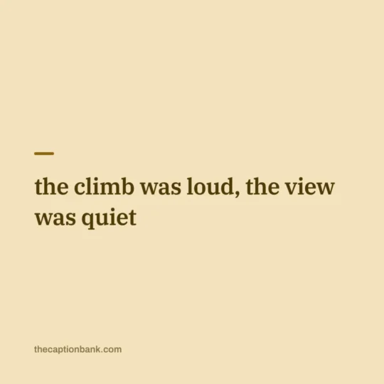 Caption Meaning In Hindi card: the climb was loud, the view was quiet