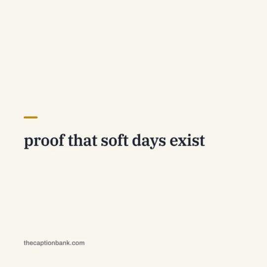 Cute Captions For Instagram card: proof that soft days exist
