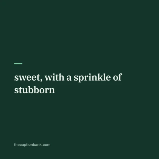Cute Captions For Instagram card: sweet, with a sprinkle of stubborn