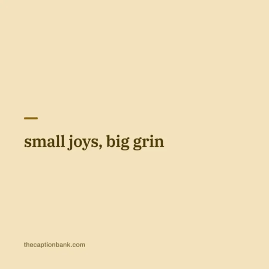 Cute Captions For Instagram card: small joys, big grin
